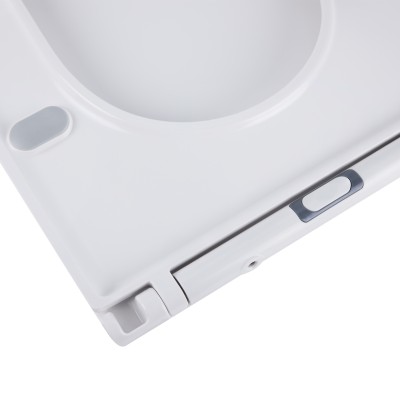 Сиденье для унитаза Qtap Aries с микролифтом Slim QT99HXU15W