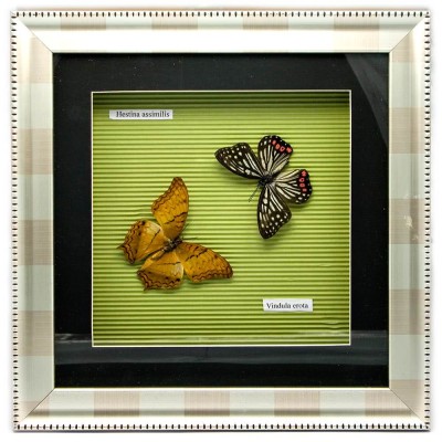 Бабочки в рамке (30х30х3,5 см) 23843