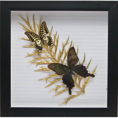 Бабочки в рамке На листе (30,5х30,5х3,5 см) 26056